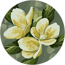 Viki Kadlecová profile picture