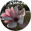 Sophia Noll profile picture