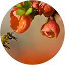 Kateřina Danielová profile picture